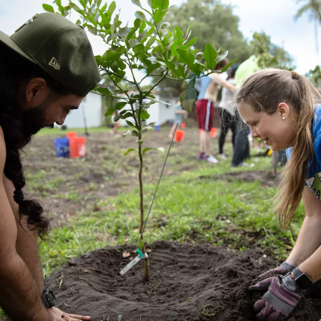 Community tree planting